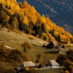 Яремче: осінній маршрут у Карпати