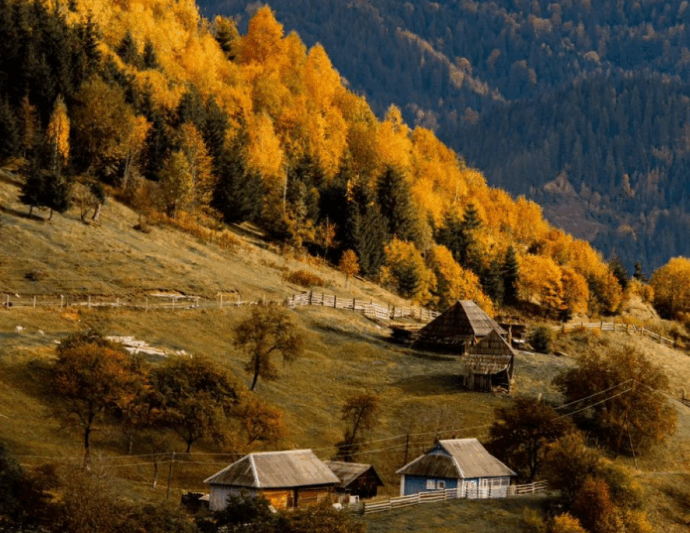 Яремче: осінній маршрут у Карпати