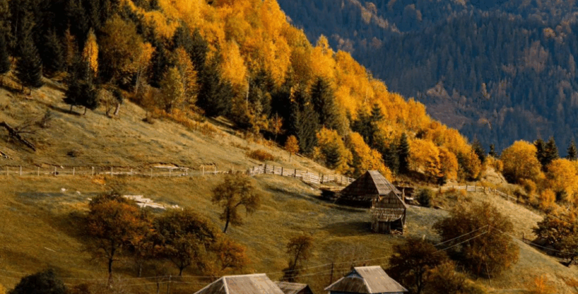 Яремче: осінній маршрут у Карпати