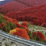 Як спланувати подорож восени: 5 лайфхаків мандрівника