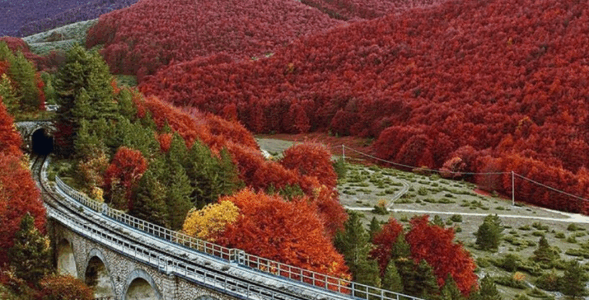 Як спланувати подорож восени: 5 лайфхаків мандрівника