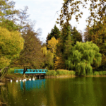 Тростянецький дендропарк — ботанічний рай України