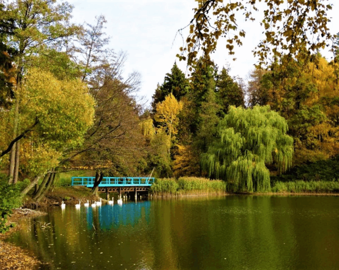 Тростянецький дендропарк — ботанічний рай України