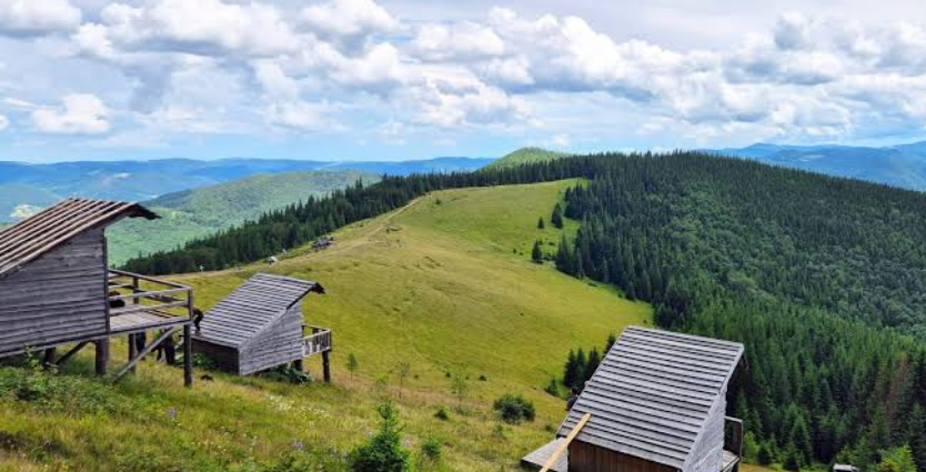 Полонина Явірник
